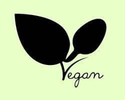 Vegan Vegan